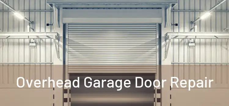  Overhead Garage Door Repair 